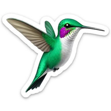 Humming bird sticker