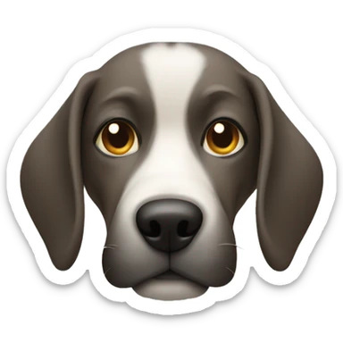 Dog wearing a muzzle over snout sticker