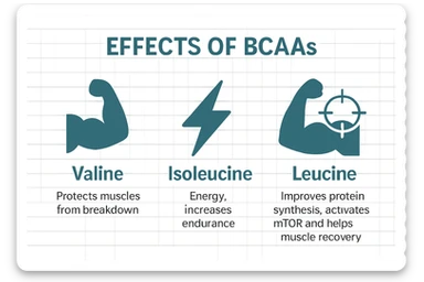 Create a beautiful infographic showing all the effects of BCAAs using symbols. 1 Valine - Protects muscles from breakdown. Isoleucine - Energy, increases endurance. Leucine - Improves protein synthesis, activates (mTor) and helps muscle recovery. sticker