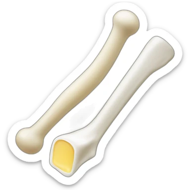 Long bone and a washing soap sticker