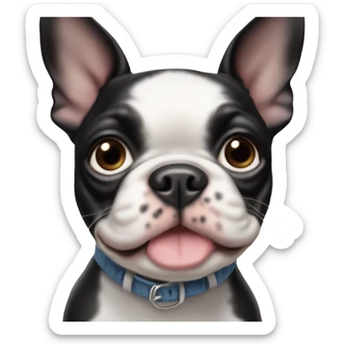 Small Boston terrier runt of the litter ￼ sticker