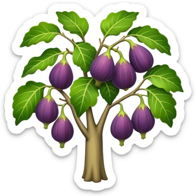 fig tree  sticker