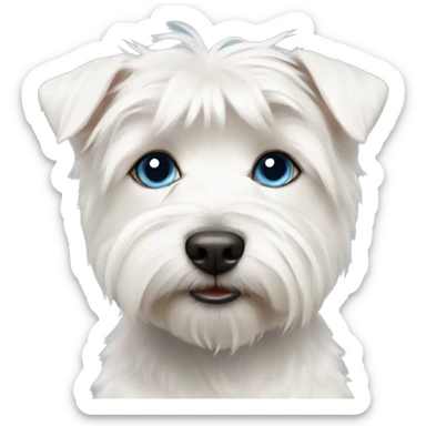 West highland white terrier with blond and blue eyes girl sticker