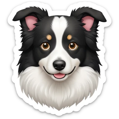 bordercollie mixed with a chinese rural dog with black and white fur sticker