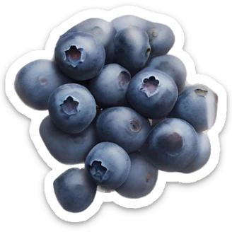 small blueberries in plastic packet organic farmer’s market realistic soft textures sticker