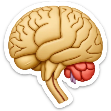 Pituitary gland sticker
