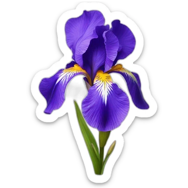 iris flower sticker