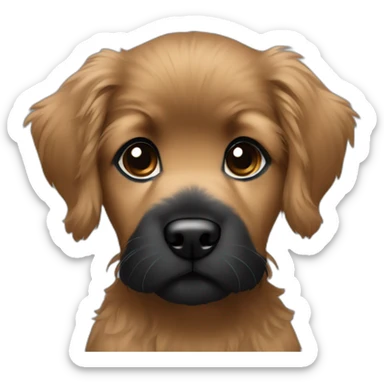 bouvier fawn brown and black puppy face long hair sticker