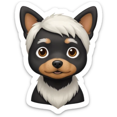 Black small dog w white hiair on chest and in between eyes sticker