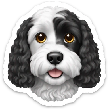Black and white cavapoo dog sticker