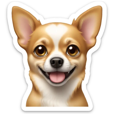 Chihuahua dog   sticker