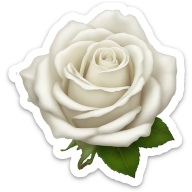 White rose sticker