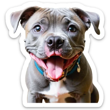 round circle puppy head full grey bleu staffy, big open mouth, big tongue out, stupid expression sticker