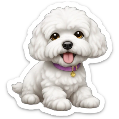 Bichon maltais sticker