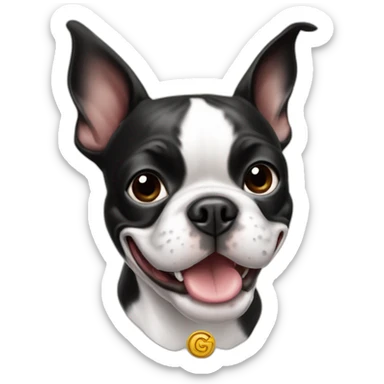 A happy Boston terrier with a GG logo sticker