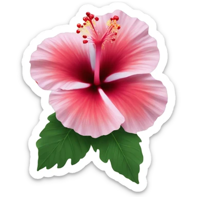 Hibiscus  sticker