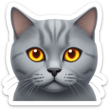 Grey british short hair cat with orange eyes sticker
