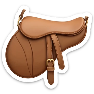 dior saddle bag sticker