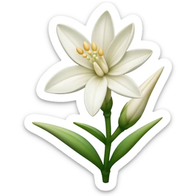 Tuberose flower sticker