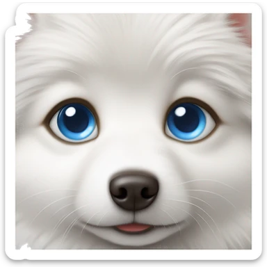 White Spitz puppy with blue eyes  sticker