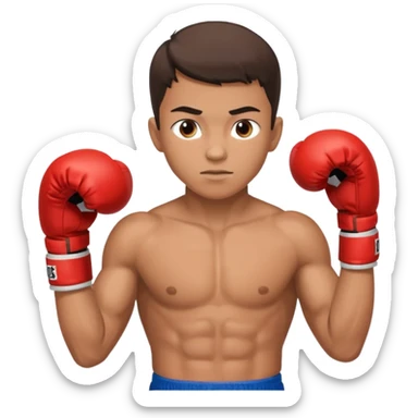 young boy professional boxer sticker