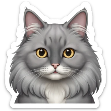 Gray tuxedo cat long hair with a black a black nose sticker
