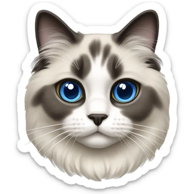 mitted, blue point, ragdoll cat sticker