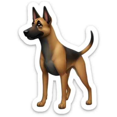 Malinois croisé staff sticker