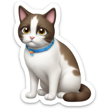 snowshoe cat with a toy sticker