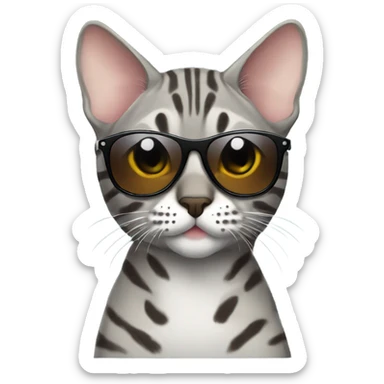 Make a grey bengal cat with cool sunglasses sticker