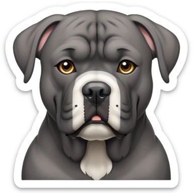 grey cane corso with a white line up his nose sticker