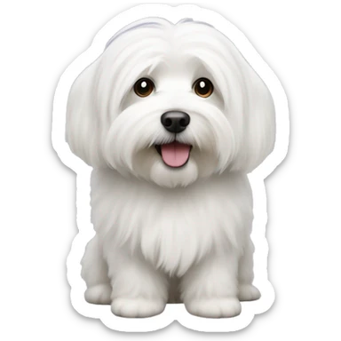 Coton de tulear sticker