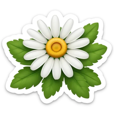 diasy with no strap and low leafs  sticker