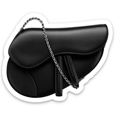 dior saddle bag sticker