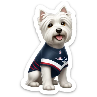 Westie with patriots jersey sticker