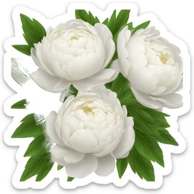 White peonies bouquet  sticker