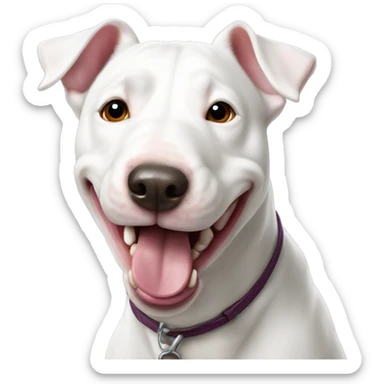 White bull terrier with light smile and tongue out sticker