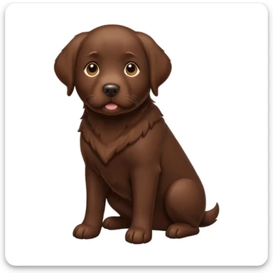 Chocolate Labrador white chest sticker