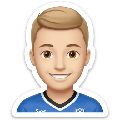 sheffield wednesday fc sticker