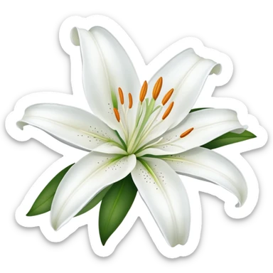 elegant white lily flower with six petals sticker