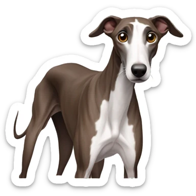 galgo marrón oscuro sin manchas blancas  sticker