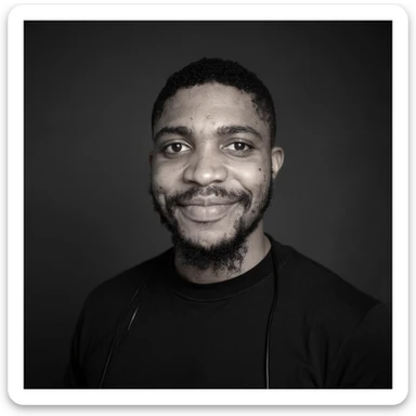 A professional portrait of me in monochrome. Plain black crew neck shirt. Tailored to LinkedIn. Tech boy vibe (programmer). I’m a black man from Nigeria. Retain facial features from attached image. Smooth skin. No accessories. sticker
