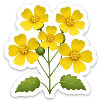 Canola sticker