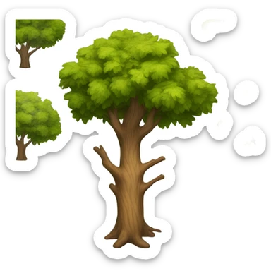 Realistic, looking oak tree sticker
