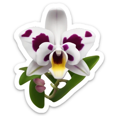 Orquídea blanca  sticker