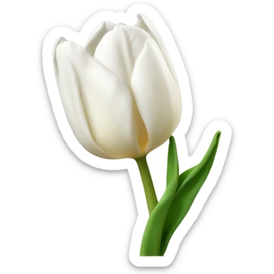 A tulip white tulips sticker