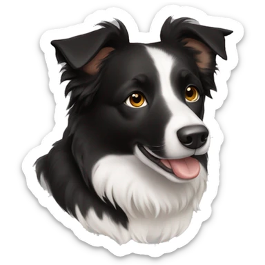 Small short haired black and white Border collie with brown eyes  sticker