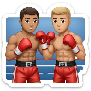 minister vs. celeb as if they were boxing sticker