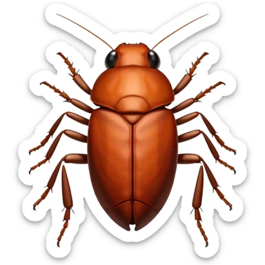 Cockroach on the face sticker