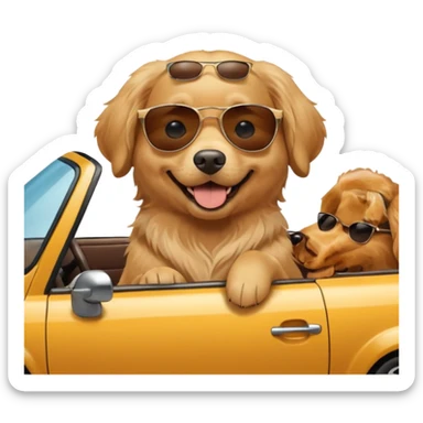 Dog in a car sticker